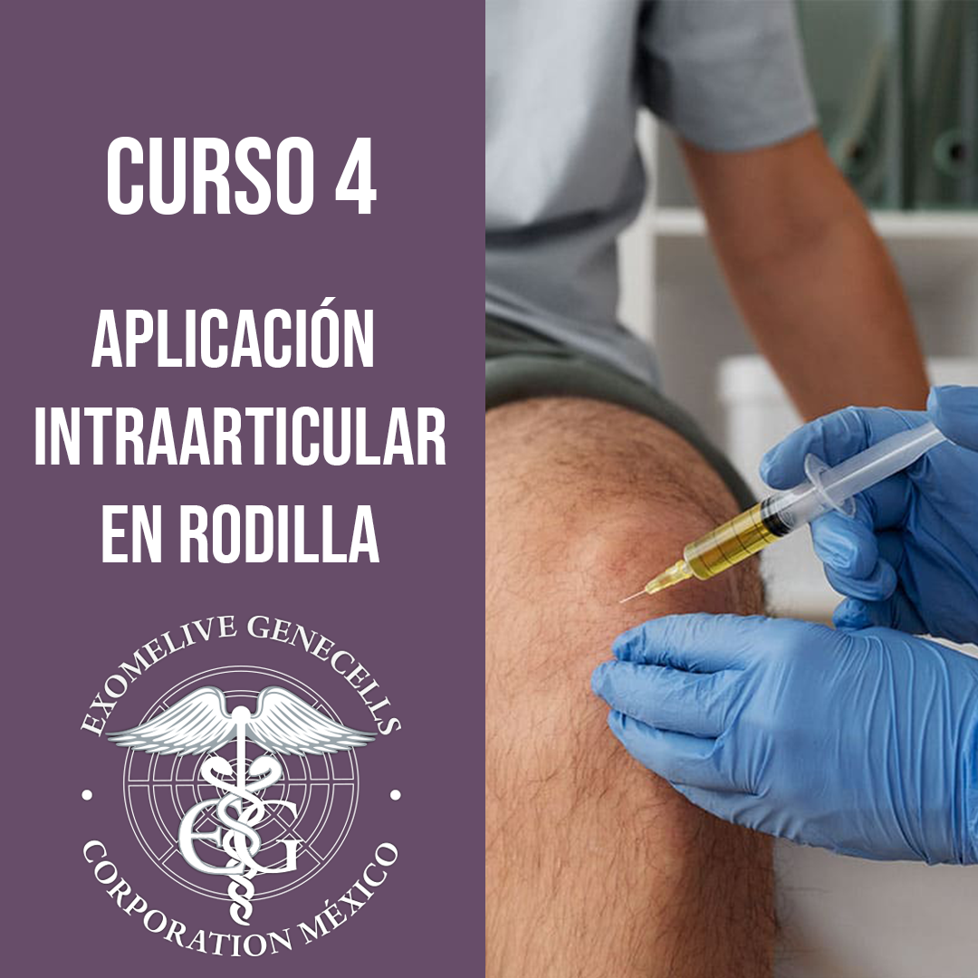 Curso-4-Aplicacion-en-cadera